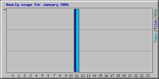 Hourly usage for January 2001